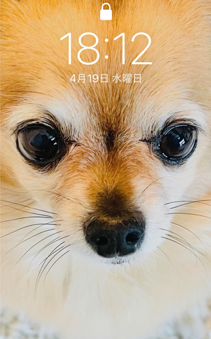 ドアップ