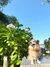 梅雨の晴れ間に