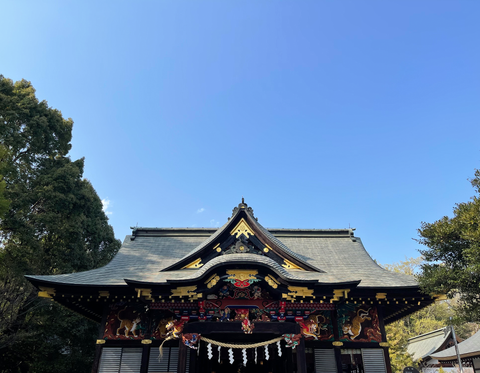 春