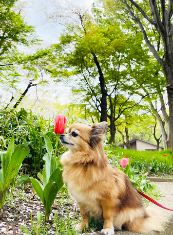 楽しい時間